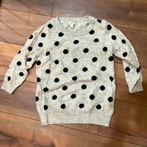 J Crew sweater